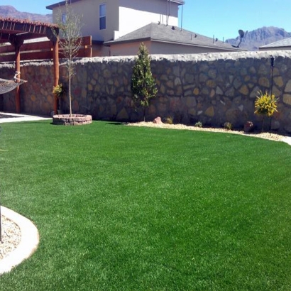 Plastic Grass Idyllwild-Pine Cove, California Lawns, Backyards