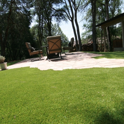 Synthetic Grass Acton, California Lawn And Garden, Backyard