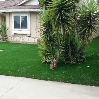 Synthetic Grass Bell, California Lawns, Front Yard Landscape Ideas