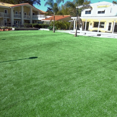 Synthetic Grass Oceanside, California Garden Ideas, Above Ground Swimming Pool