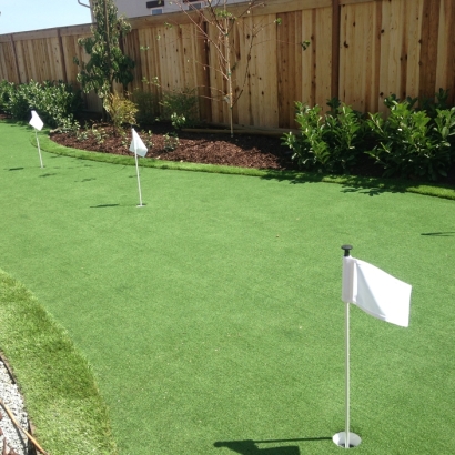 Synthetic Grass Thousand Oaks, California Rooftop, Backyards