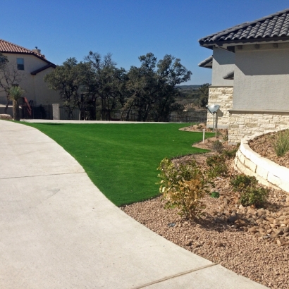 Synthetic Grass West Whittier-Los Nietos, California Landscape Ideas, Front Yard Design