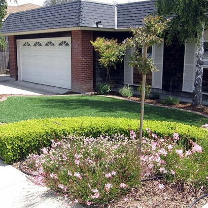 Synthetic Lawn Sunset Beach, California Rooftop, Front Yard Landscaping