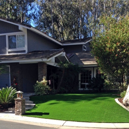 Synthetic Turf Ramona, California Landscape Design, Front Yard Design