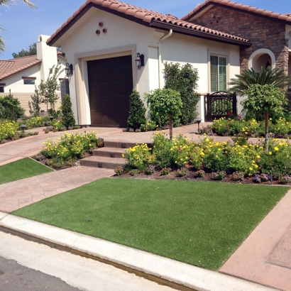 Synthetic Turf South San Jose Hills, California Backyard Deck Ideas, Landscaping Ideas For Front Yard