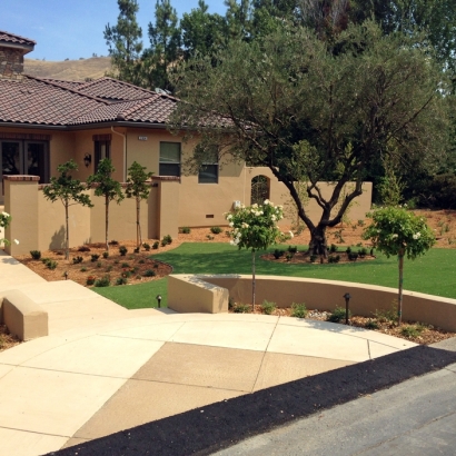 Synthetic Turf Supplier Escondido, California Landscape Photos, Front Yard Landscaping Ideas