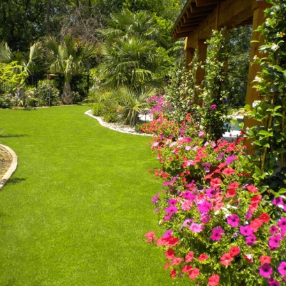 Turf Grass Midway City, California Landscaping Business, Backyard Landscaping Ideas