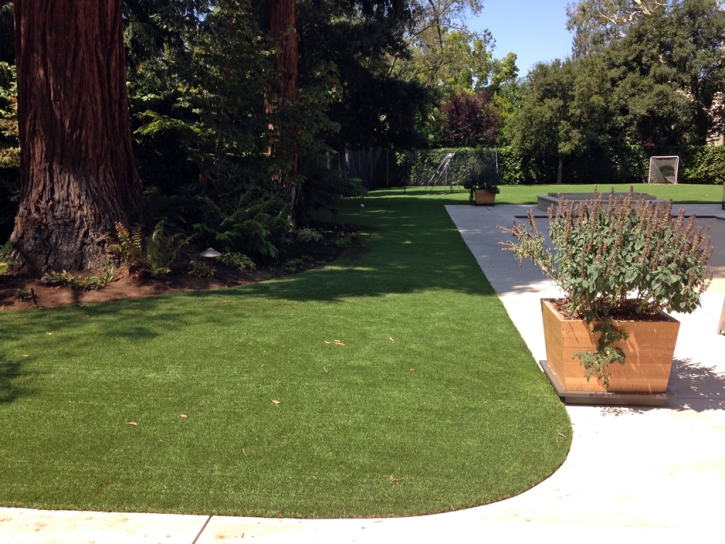 Artificial Grass Agoura Hills, California Landscape Rock, Front Yard Landscape Ideas