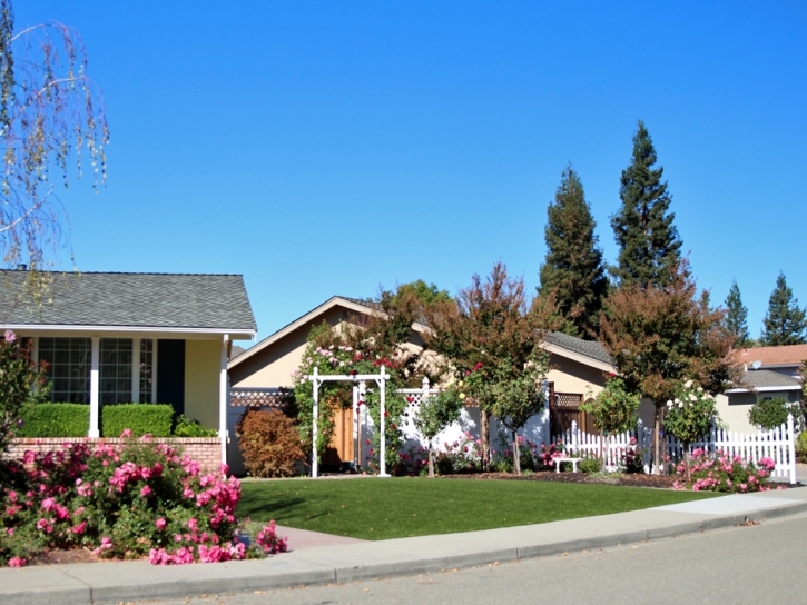 Artificial Grass Beverly Hills, California Landscaping Business, Front Yard Landscaping