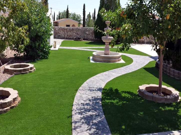 Artificial Grass Carpet Aguanga, California Home And Garden, Backyard Ideas