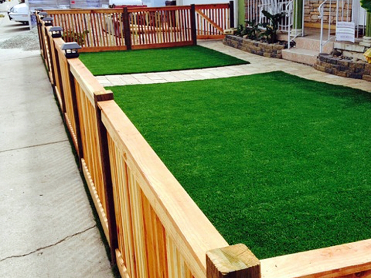 Artificial Grass Carpet Artesia, California Landscaping Business, Front Yard Landscaping