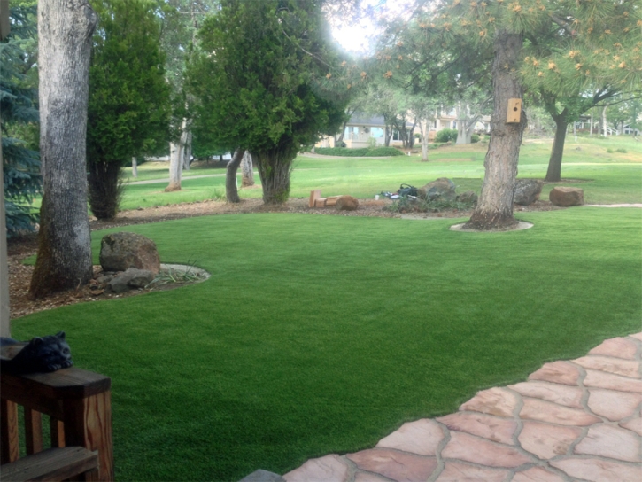 Artificial Grass Carpet Bloomington, California Home And Garden, Front Yard