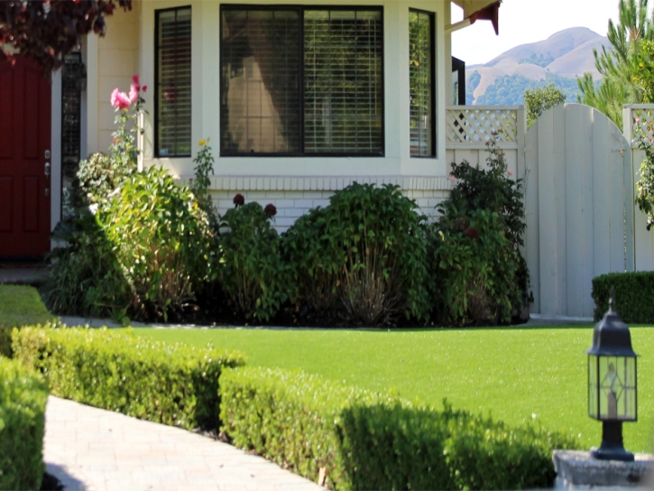 Artificial Grass Carpet Bradbury, California Landscaping Business, Front Yard Design