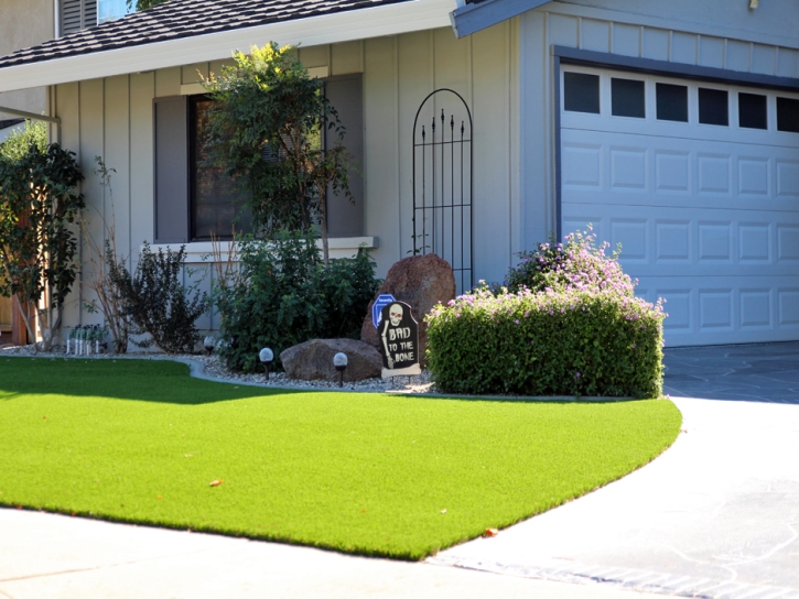 Artificial Grass Carpet East Los Angeles, California Garden Ideas, Front Yard Landscape Ideas