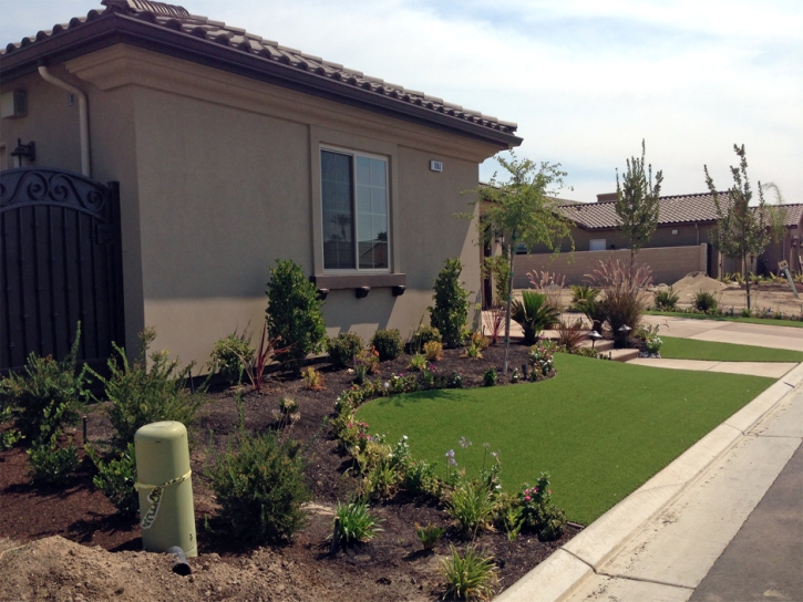 Artificial Grass Carpet Oak View, California Landscape Photos, Small Front Yard Landscaping