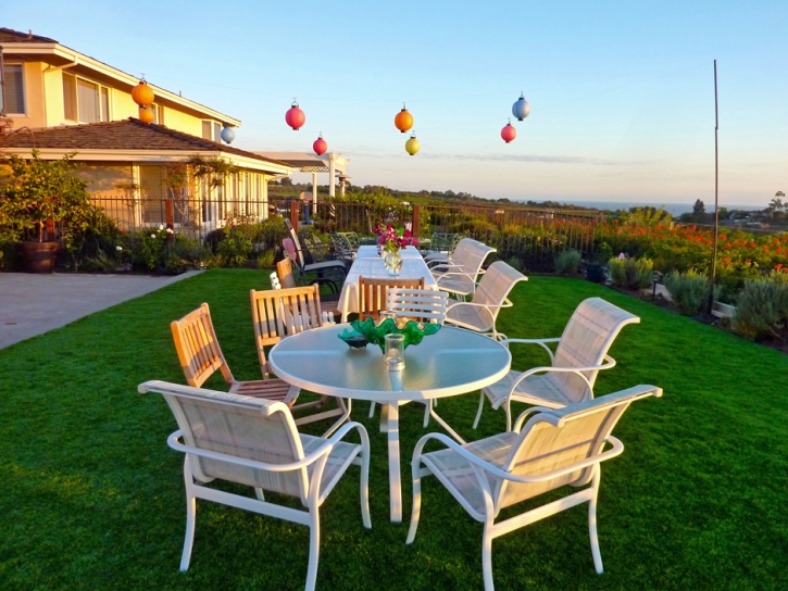 Artificial Grass Carpet Pinon Hills, California Paver Patio, Backyard