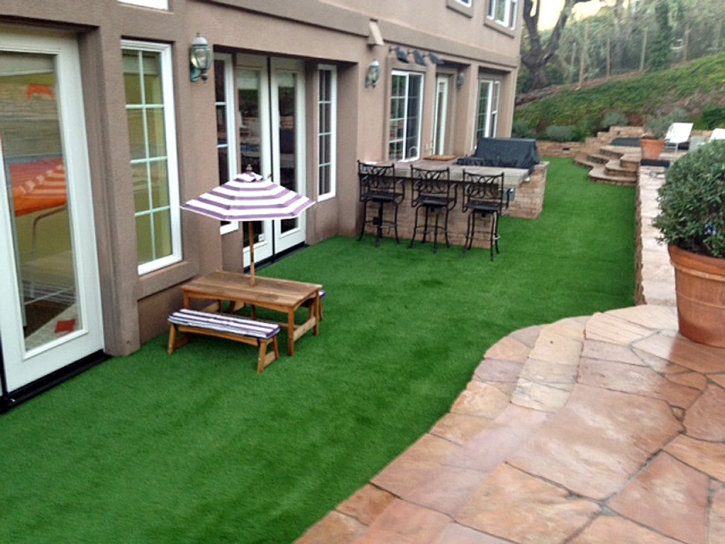 Artificial Grass Carpet Rancho Palos Verdes, California City Landscape, Small Backyard Ideas