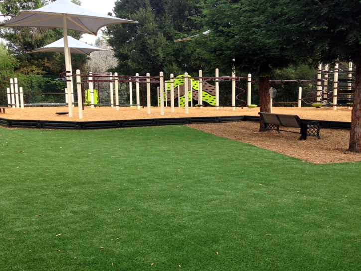 Artificial Grass Carpet Signal Hill, California Playground Turf, Backyard Makeover