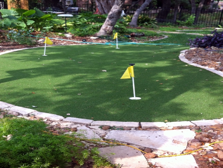 Artificial Grass Carpet South San Jose Hills, California Lawn And Landscape, Backyard Ideas