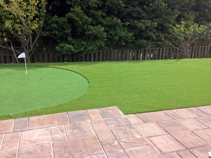 Artificial Grass Carpet Vincent, California Roof Top, Backyard Landscape Ideas