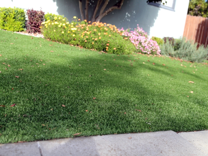 Artificial Grass Installation Bonsall, California Landscape Rock, Front Yard Ideas