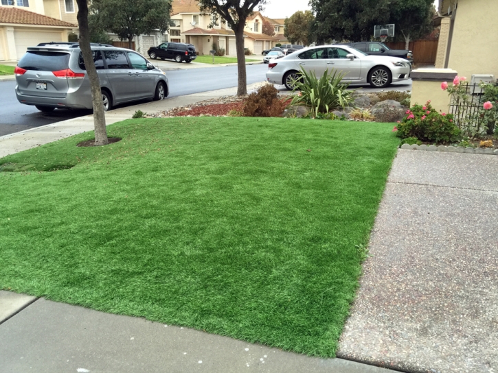 Artificial Grass Installation Escondido, California Rooftop, Small Front Yard Landscaping