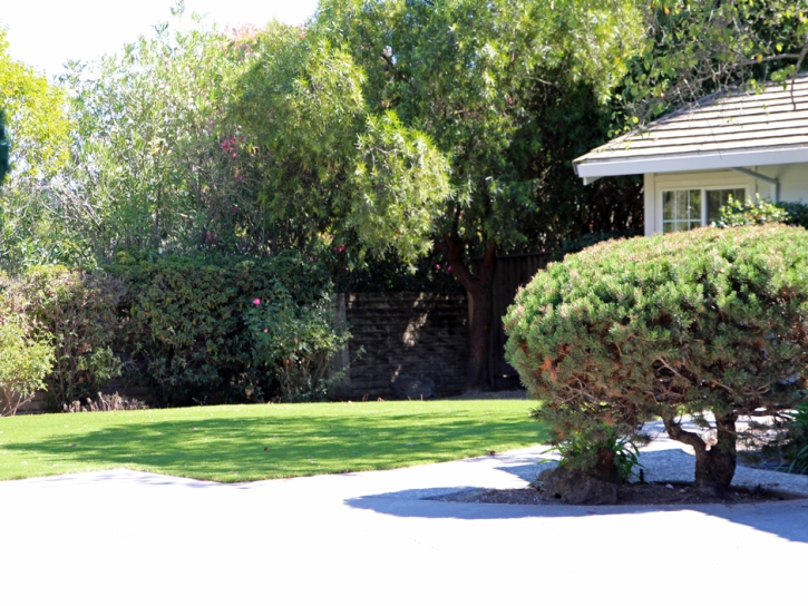 Artificial Grass Installation Lakeview, California Backyard Playground, Front Yard Design