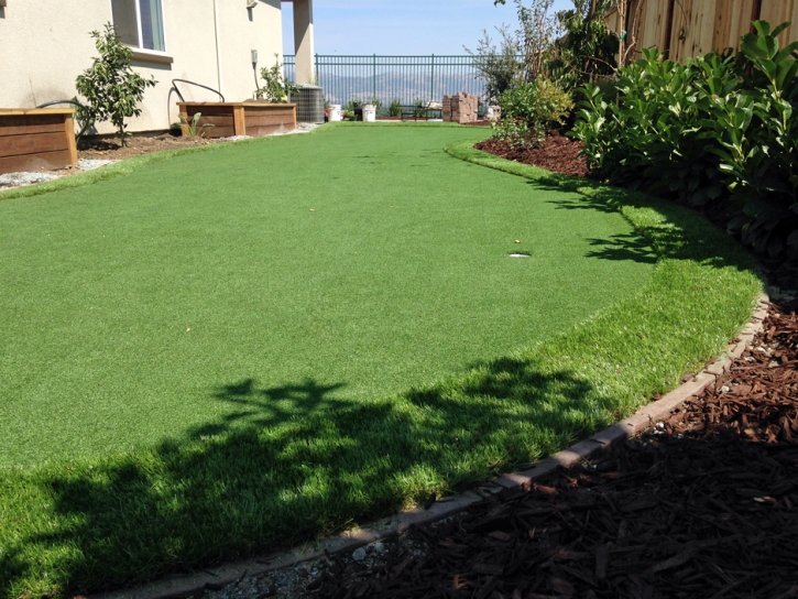 Artificial Grass Installation Las Flores, California Backyard Playground, Backyard Makeover