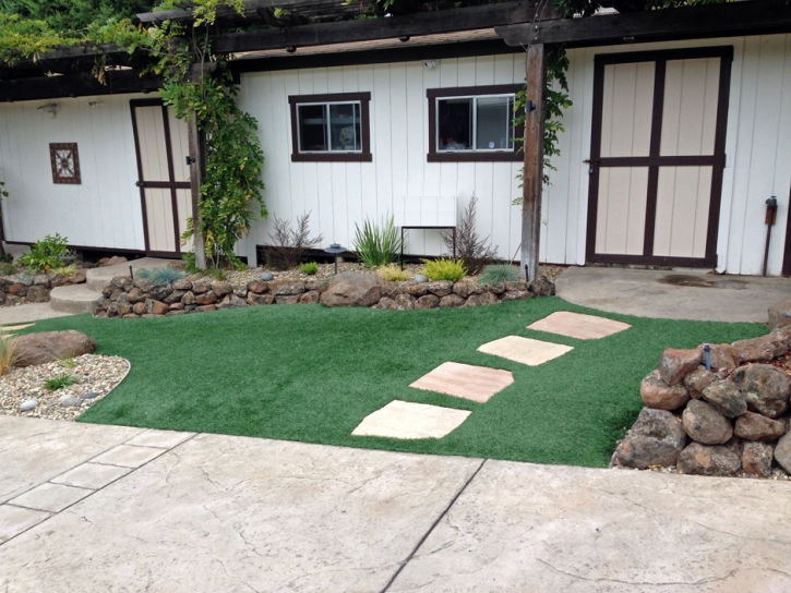 Artificial Grass Installation North El Monte, California Roof Top, Front Yard Landscape Ideas