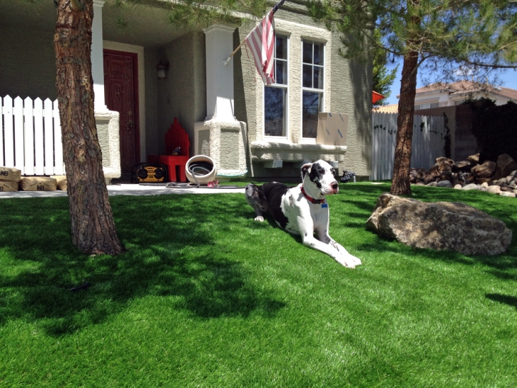 Artificial Grass Installation Oxnard, California Dogs, Small Front Yard Landscaping