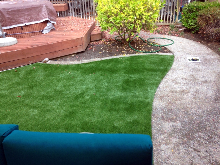 Artificial Grass Installation Oxnard Shores, California Roof Top, Small Backyard Ideas