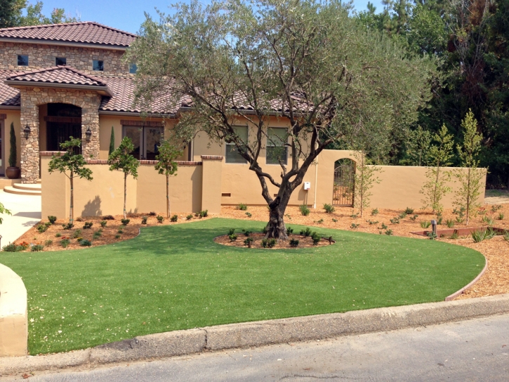 Artificial Grass Las Flores, California Landscape Photos, Small Front Yard Landscaping