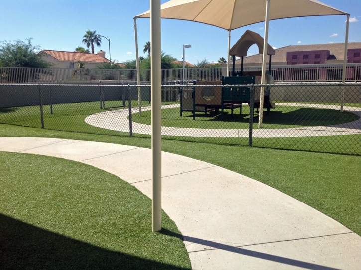 Artificial Grass Lemon Grove, California Landscape Design, Recreational Areas