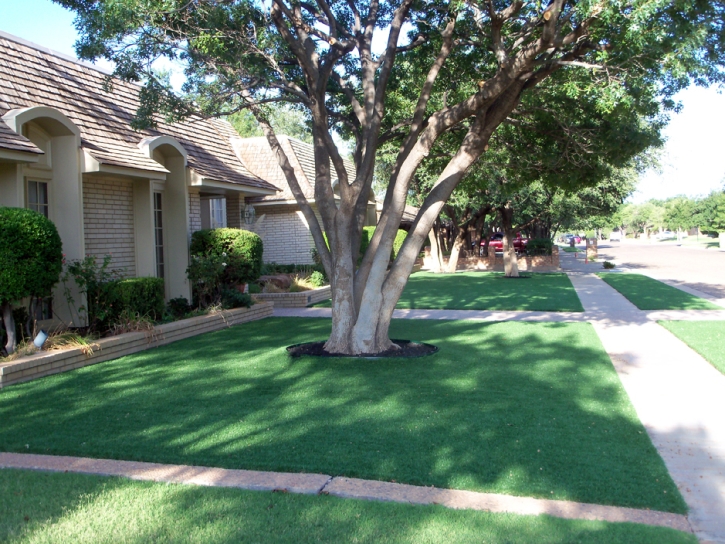 Artificial Grass March Air Force Base, California Lawn And Landscape, Front Yard Design