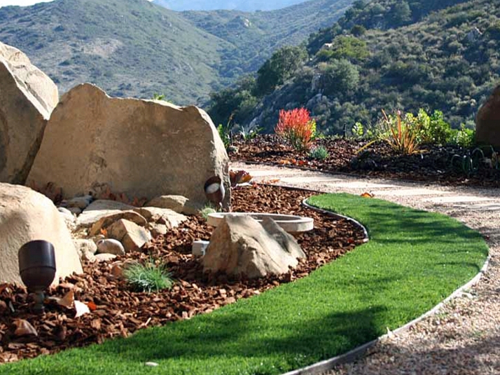 Artificial Grass Mission Canyon, California Home And Garden, Front Yard Ideas