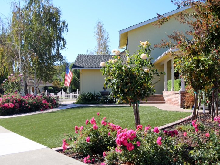 Artificial Grass Newport Beach, California Home And Garden, Front Yard Landscaping Ideas