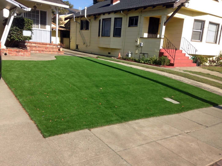 Artificial Grass Port Hueneme, California Lawns, Front Yard Ideas