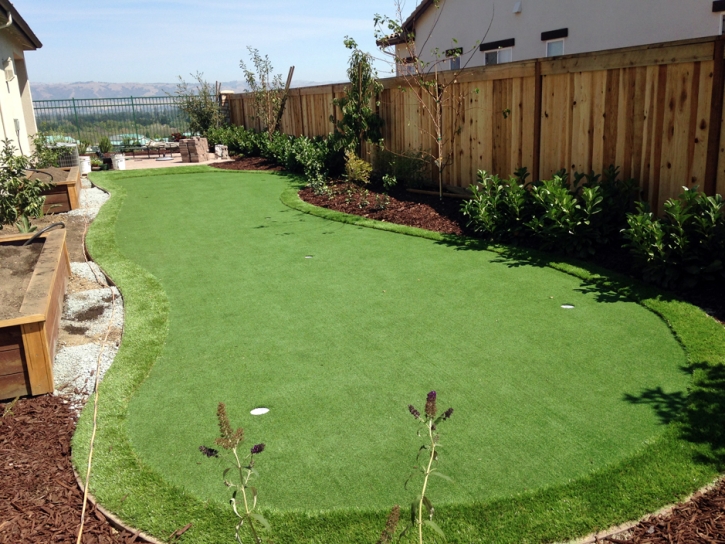 Artificial Grass San Pedro, California Garden Ideas, Backyard Landscape Ideas