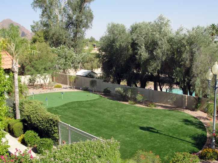 Artificial Grass Valencia, California Landscape Ideas, Backyard Garden Ideas