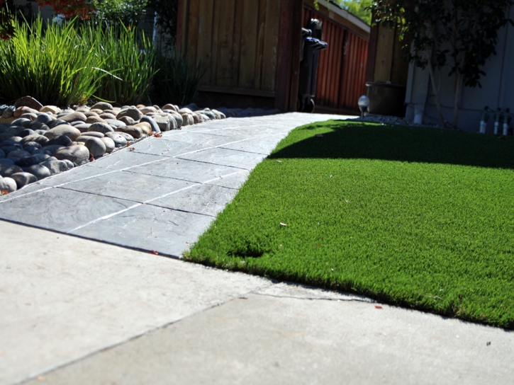 Artificial Grass Villa Park, California Backyard Playground, Front Yard Landscape Ideas