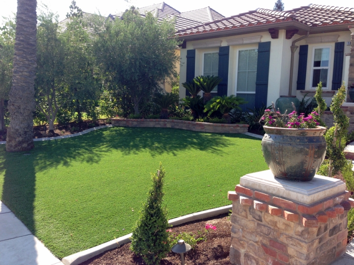 Artificial Lawn Altadena, California Design Ideas, Front Yard Design