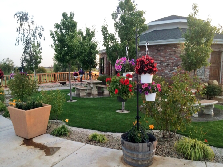 Artificial Lawn Belvedere, California Landscape Design, Commercial Landscape