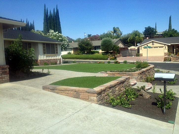 Artificial Lawn Coto De Caza, California Landscaping, Front Yard