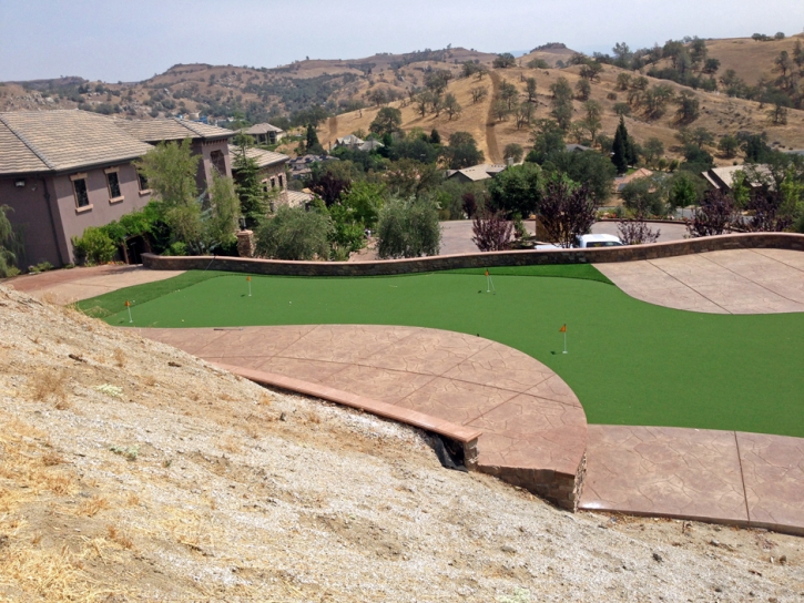 Artificial Lawn Dana Point, California Backyard Putting Green, Backyard Landscaping