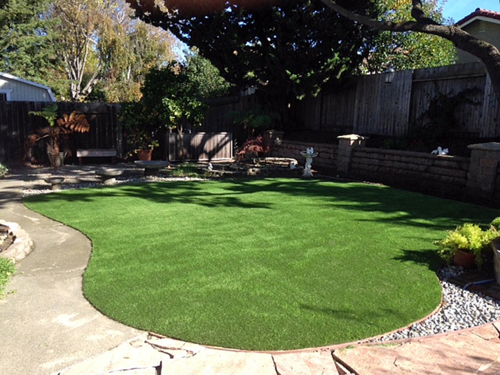 Artificial Lawn Lawndale, California Rooftop, Backyards