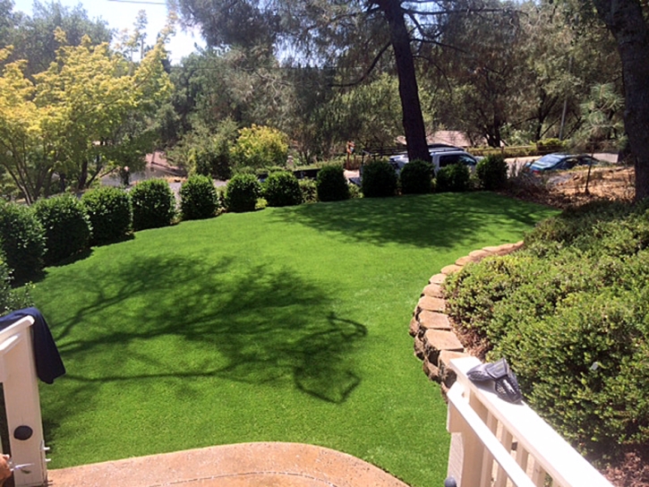 Artificial Lawn Mira Loma, California Lawn And Landscape, Backyard Landscaping