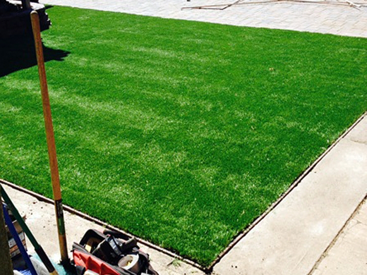 Artificial Lawn Rossmoor, California Design Ideas