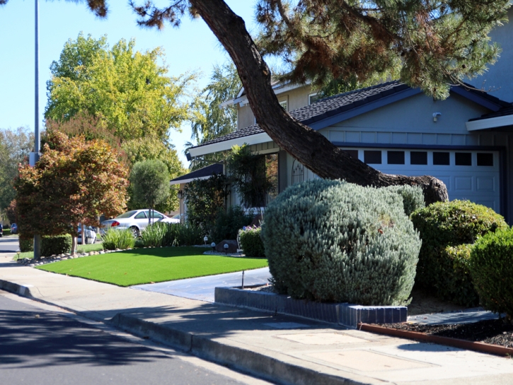 Artificial Lawn South Whittier, California Landscape Photos, Landscaping Ideas For Front Yard