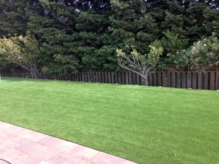 Artificial Turf Cost Industry, California Lawn And Garden, Beautiful Backyards