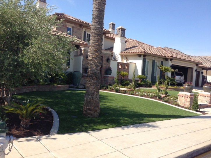 Artificial Turf Cost Lake Elsinore, California Landscape Ideas, Front Yard Landscaping